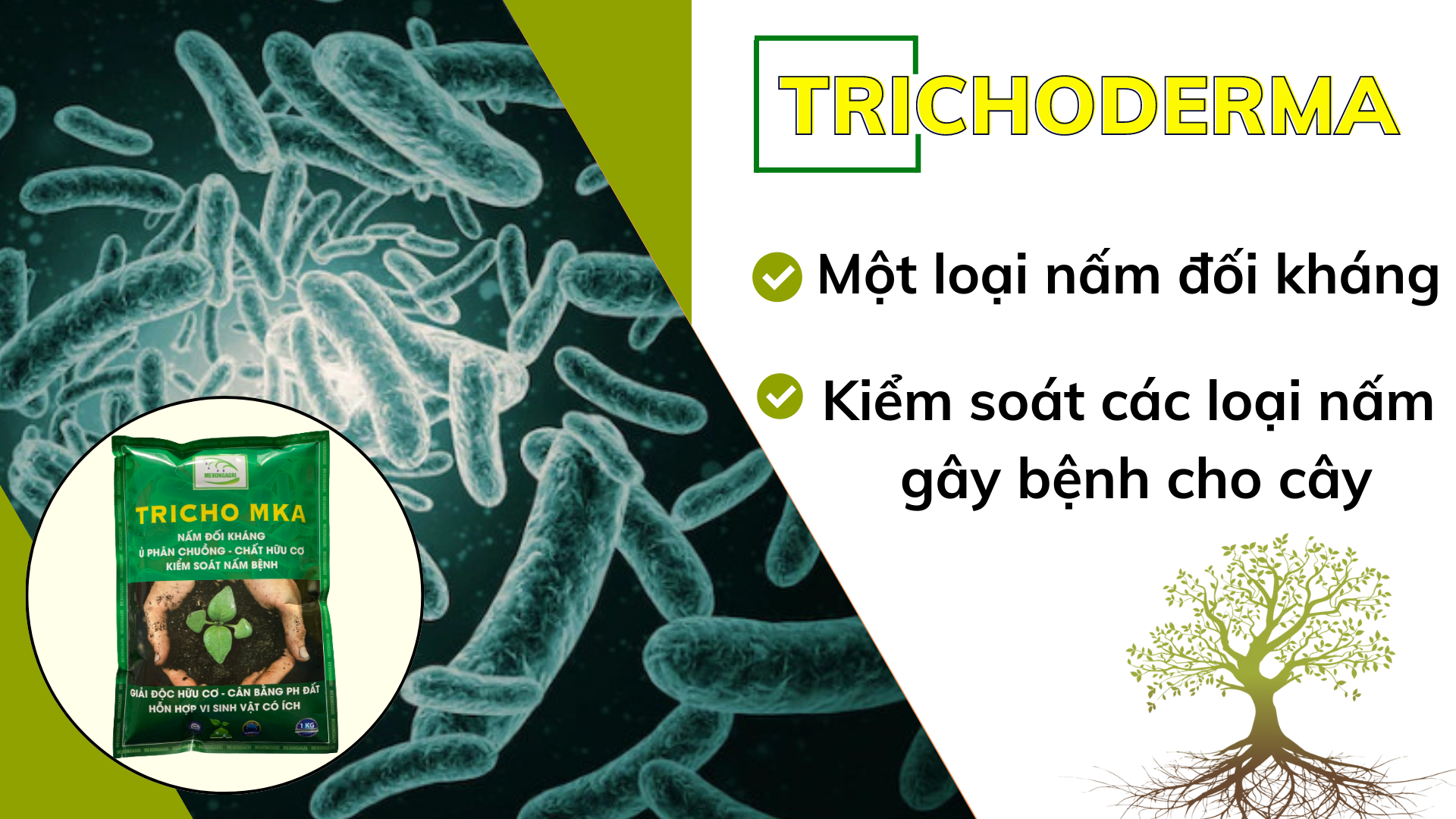 trichoderma với humic và hữu cơ